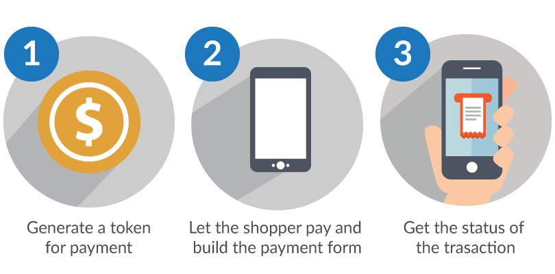 1. Generate a token for payment. 2. Let the shopper pay and build the payment form. 3. Get the status of the transaction.